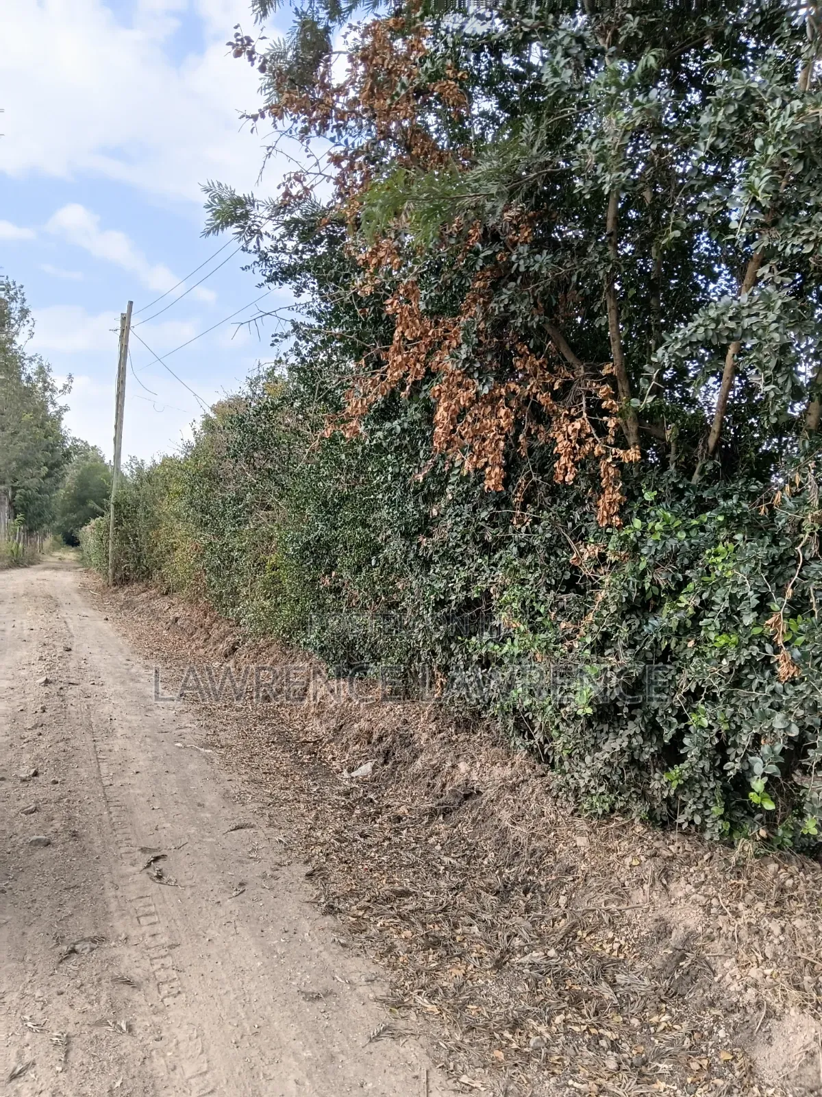 Residential 1/8 Plot Quick Sale