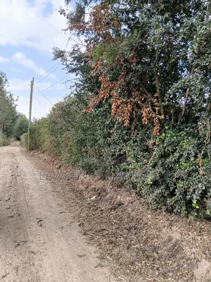 Residential 1/8 Plot Quick Sale