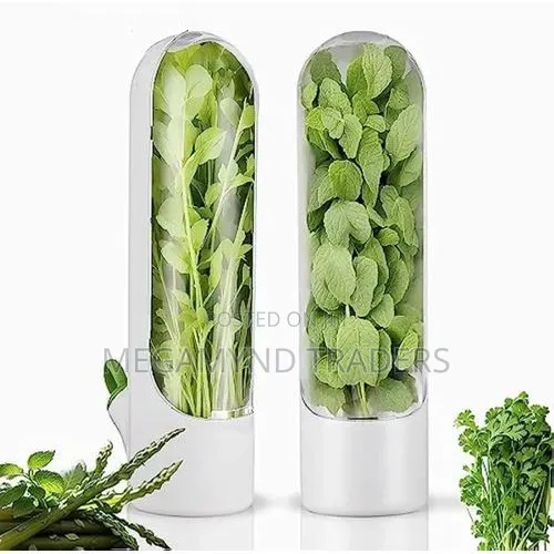 Herb and Vegetable Fresh Keeping Containers