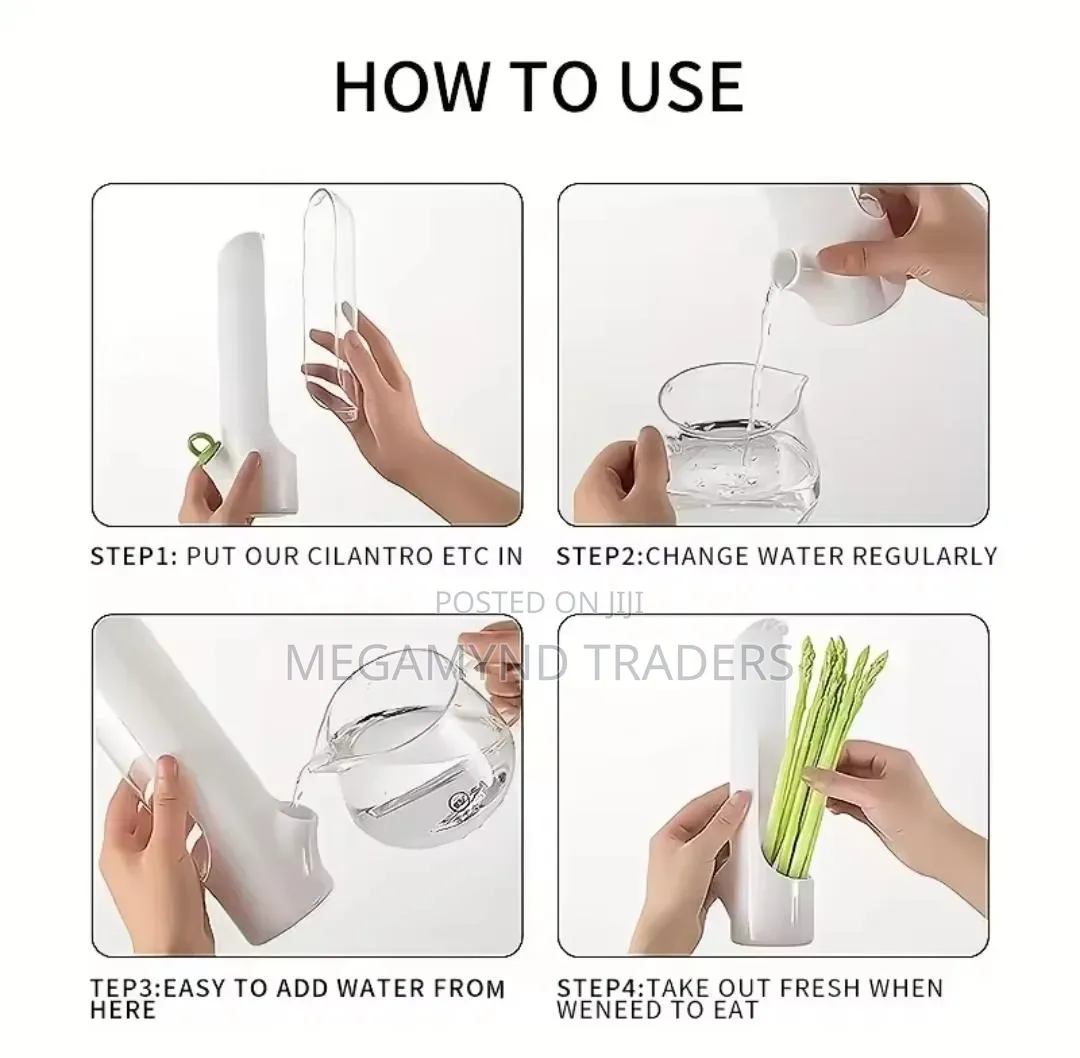 Herb and Vegetable Fresh Keeping Containers