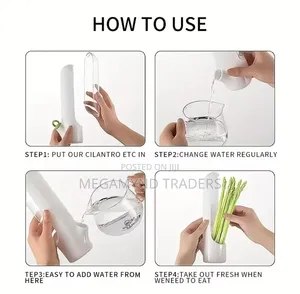 Herb and Vegetable Fresh Keeping Containers