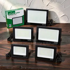 Long Lasting 30W,50W,100W,200W 300W Watts AC Electric Flood Lights