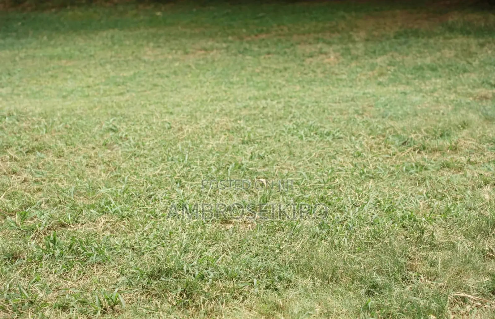 Katani Plot for Sale