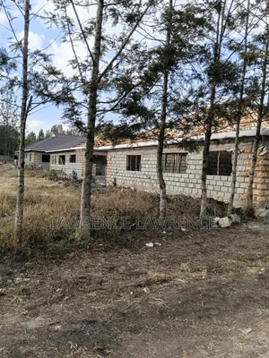 1/8 Plot in Matasia