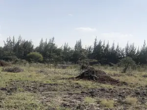2 Acres Near Nairobi National Park
