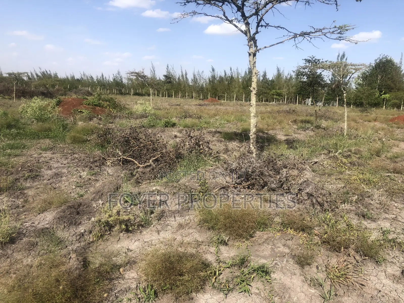 2 Acres Near Nairobi National Park