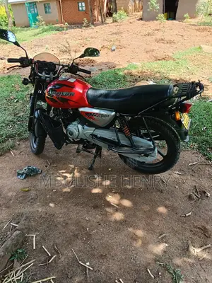 Bajaj Boxer 2019 Red