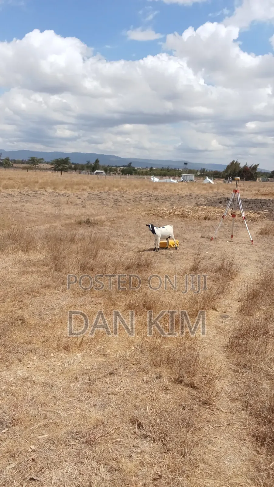 50 by 100 Ft Plots for Sale.