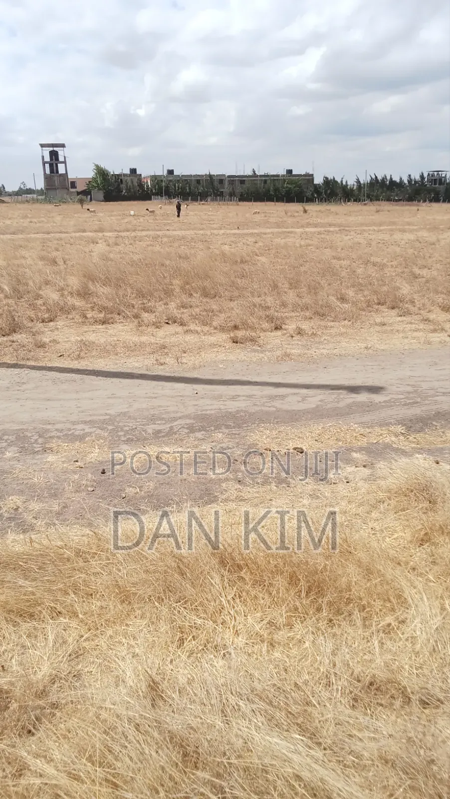 50 by 100 Ft Plots for Sale.