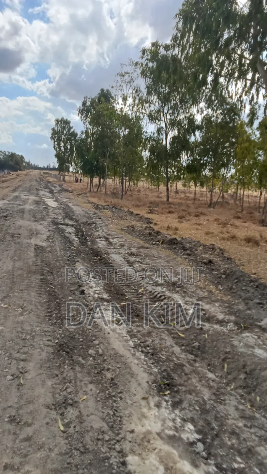 50 by 100 Ft Plots for Sale.