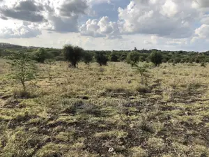 30 Acres at Emali