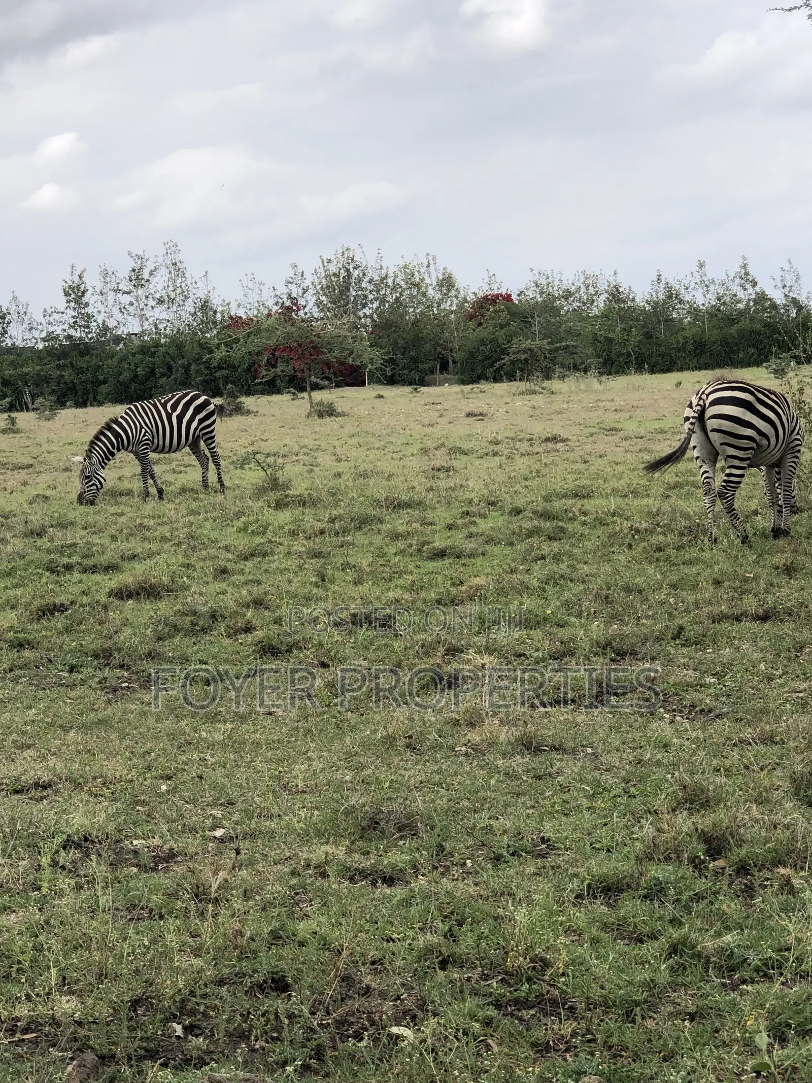 30 Acres at Emali