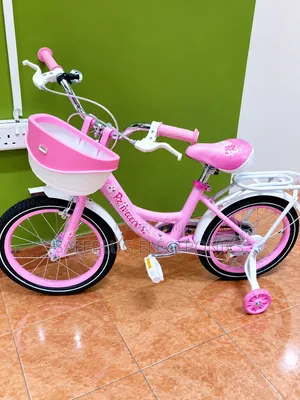 Lady Bird 16 Inch Girls Bicycle With Front Basket