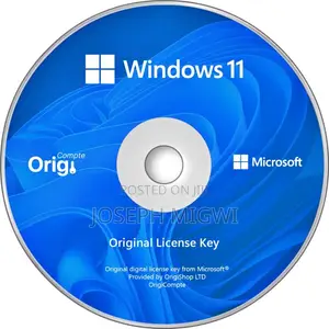 Professional Windows Installation Reinstallation – Windows 11/10/8