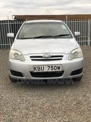 Toyota Corolla RunX 2005 Silver