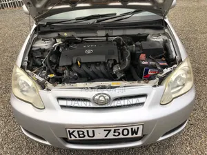 Toyota Corolla RunX 2005 Silver