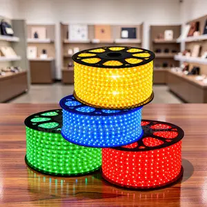 Durable Construction 50Meter Outdoor Snake Light With Connector