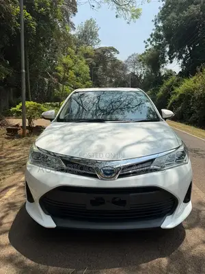 Toyota Axio 2018 White