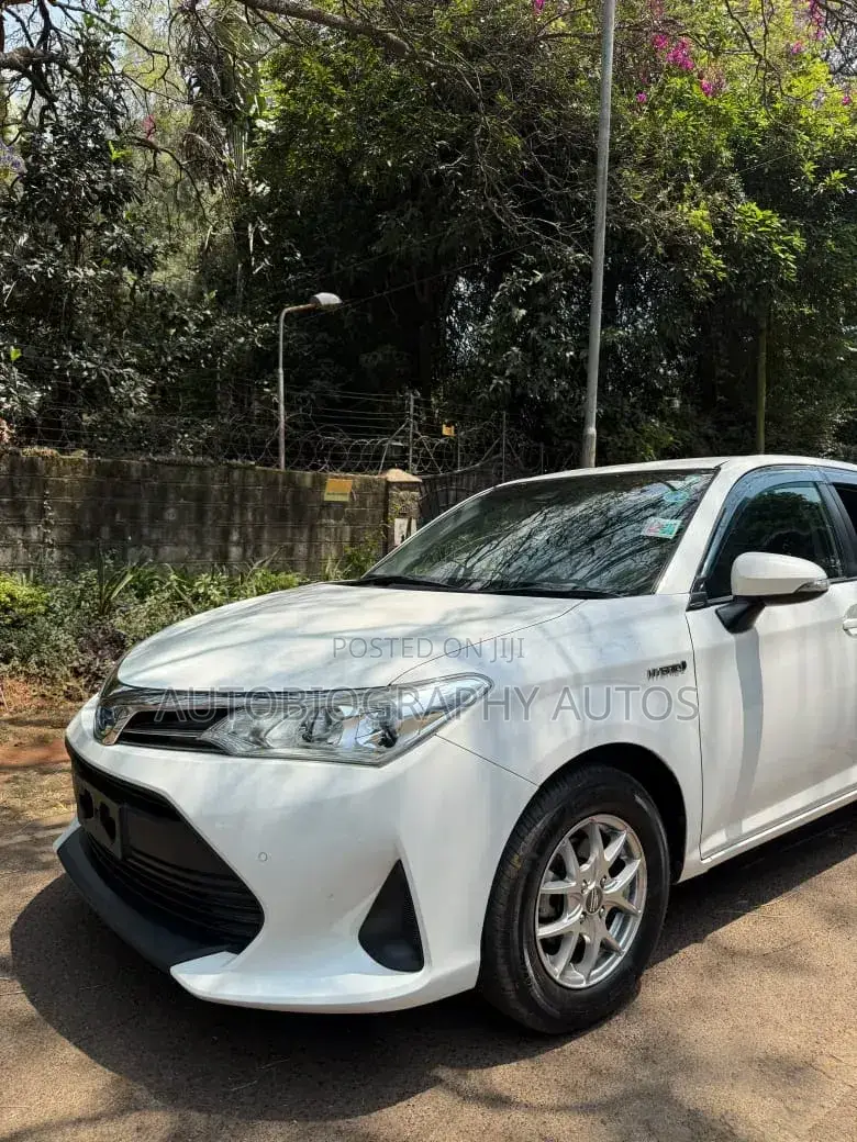 Toyota Axio 2018 White
