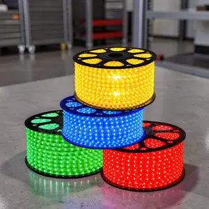 Warm Lighting 50Meter Outdoor Snake Light With Connector