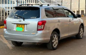 Toyota Corolla Fielder 2008 Silver