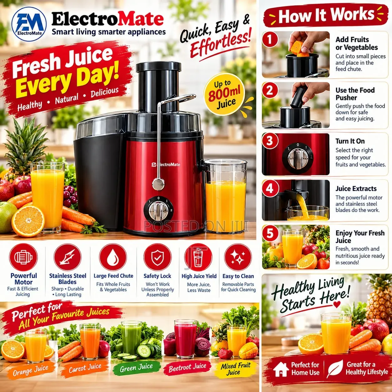 ElectroMate JM01R 800W Juice Extractor