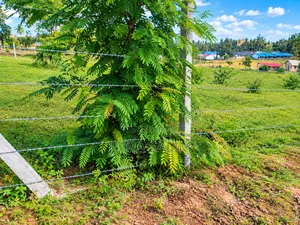 Plot on Sale