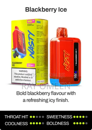 Nasty 9000 Puffs Blueberry Ice Rechargeable Vapes