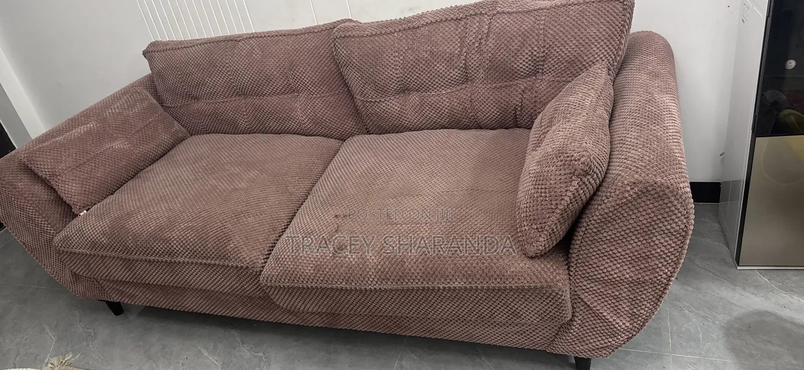 Pink Velvet Sofa
