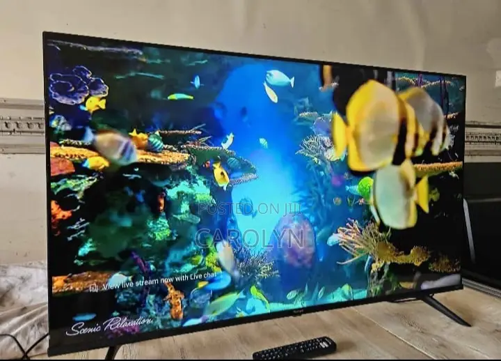 Samsung 55" Smart TV