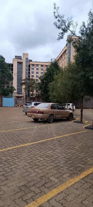 Toyota Corolla Sedan 1995 Brown