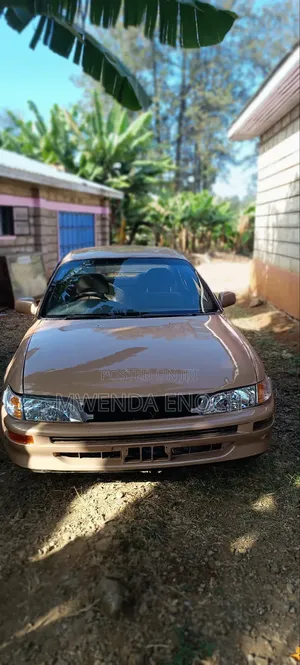 Toyota Corolla Sedan 1995 Brown