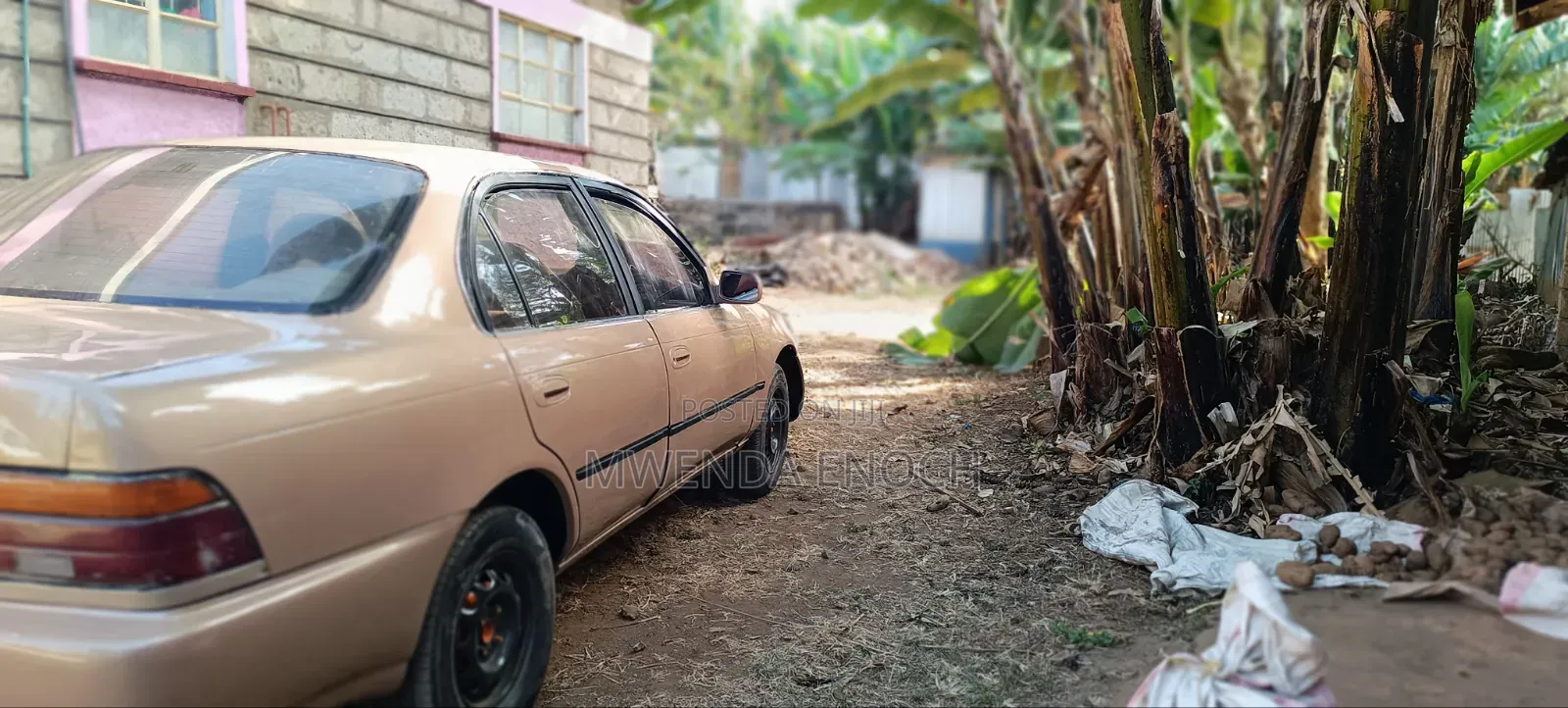Toyota Corolla Sedan 1995 Brown