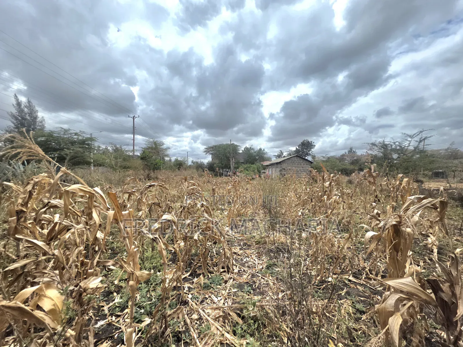 Residential Plot for Sale at Milimani Kitengela