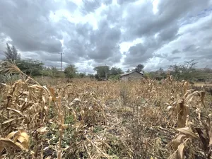 Residential Plot for Sale at Milimani Kitengela