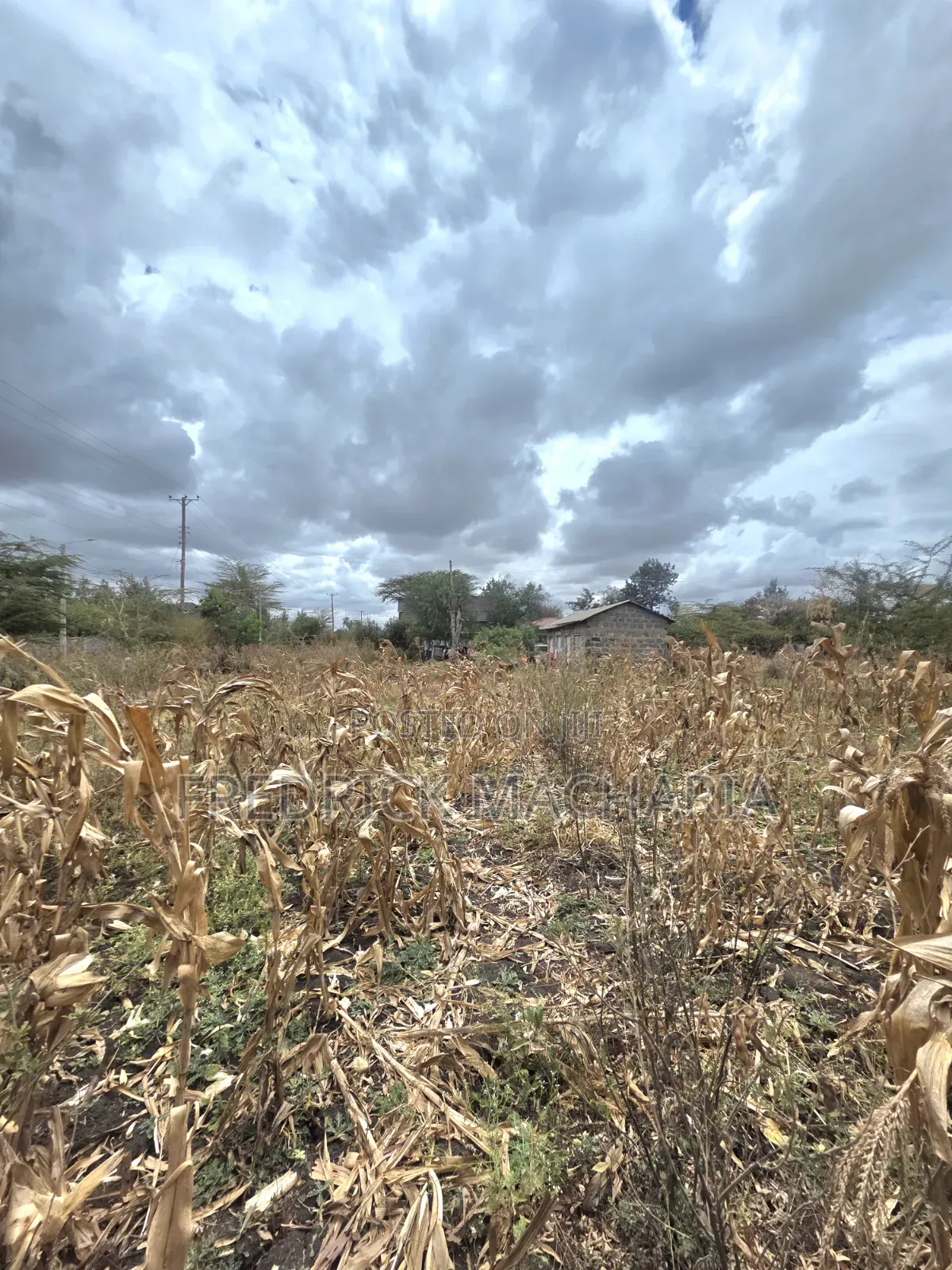 Residential Plot for Sale at Milimani Kitengela