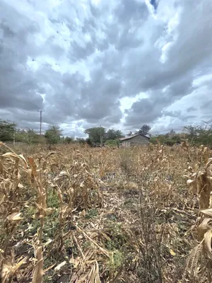 Residential Plot for Sale at Milimani Kitengela