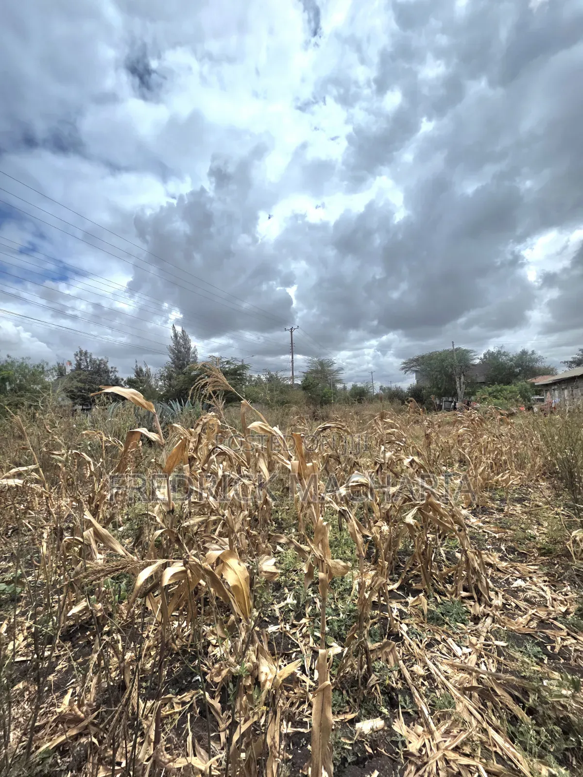 Residential Plot for Sale at Milimani Kitengela