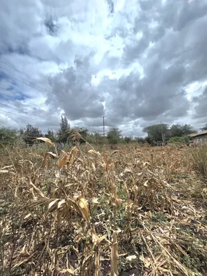 Residential Plot for Sale at Milimani Kitengela