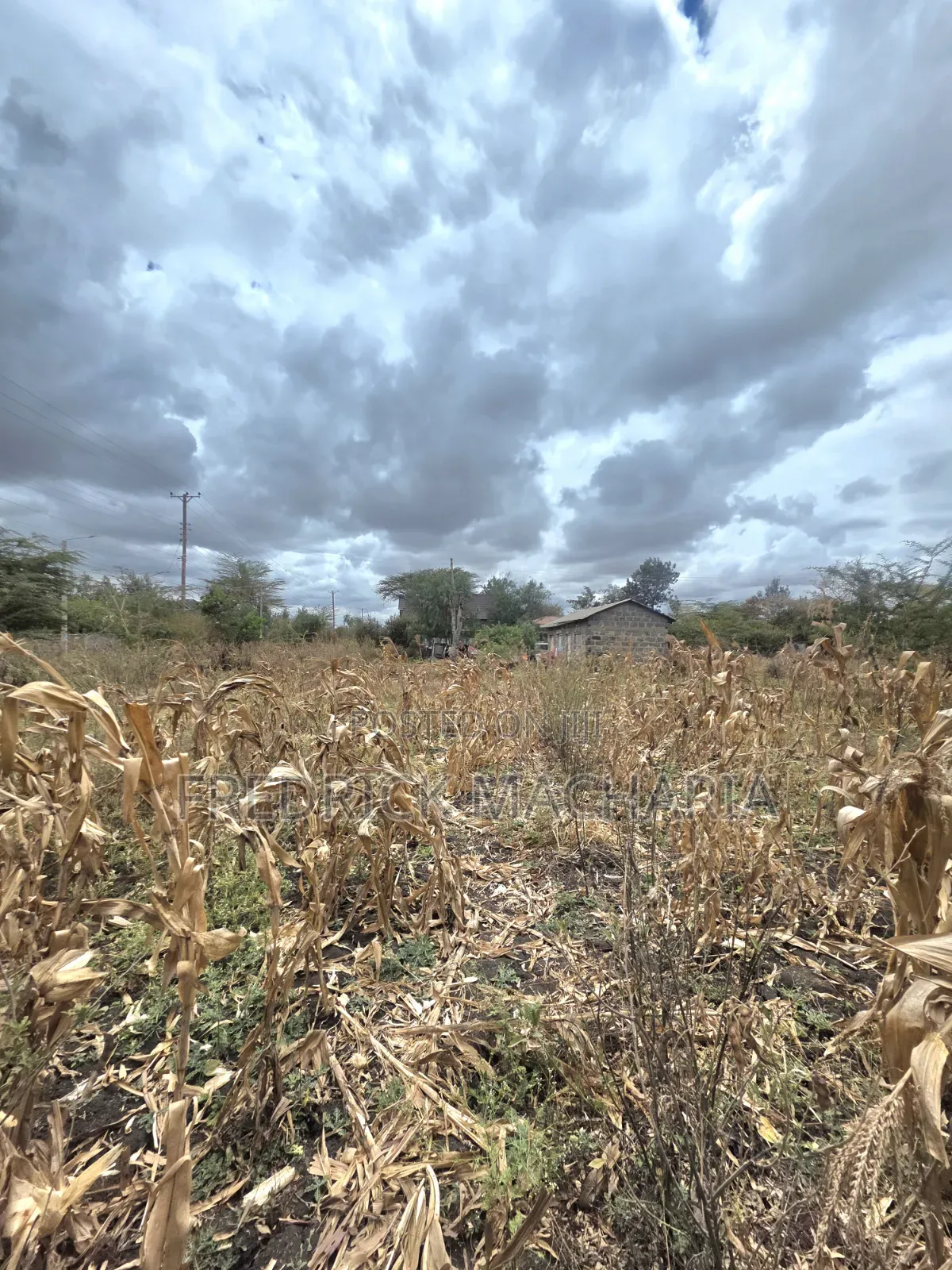 Residential Plot for Sale at Milimani Kitengela