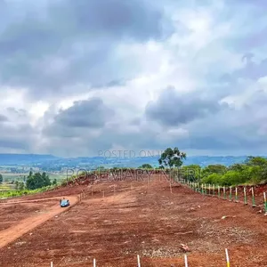 Kikuyu -Kamangu
