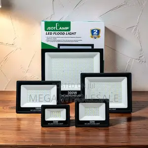 Energy Saving 30W,50W,100W,200W 300W Watts AC Electric Flood Lights