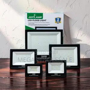 Powerful LED 30W,50W,100W,200W 300W Watts AC Electric Flood Lights