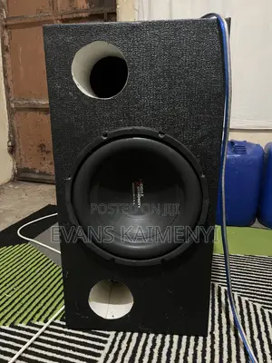 12 Inch 1000 Watts Subwoofer