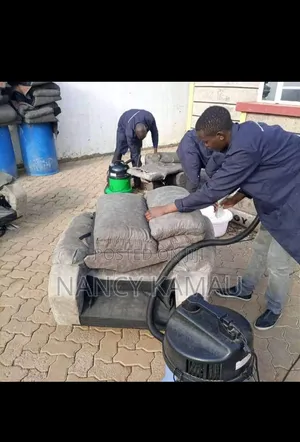Sofa General Cleaning