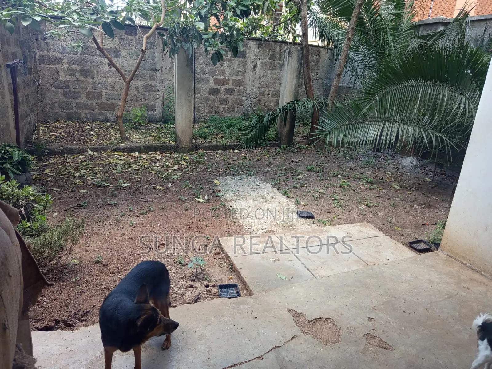 Commercial Property for Rent in Kilimani