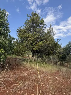 Kenyatta Rd - Land for Sale in Controlled Gated Estate