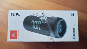 JBL Flip 6