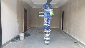 Professional Painting Services