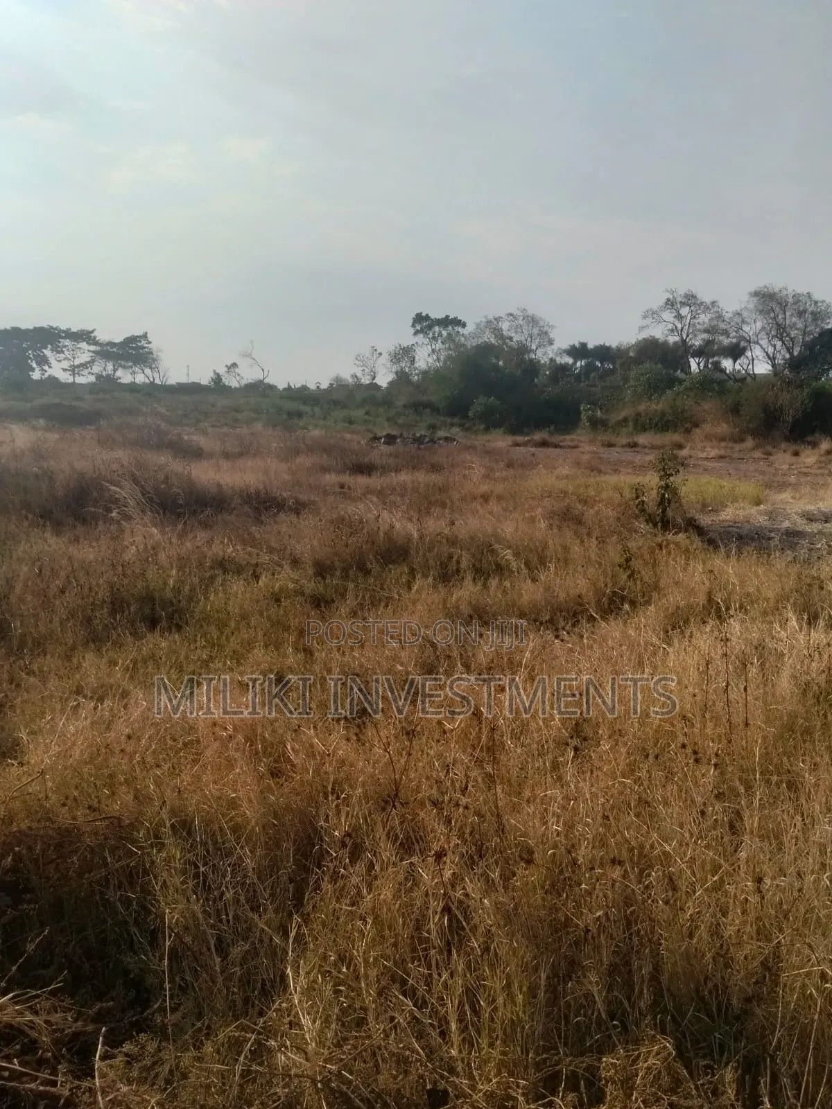 Acre Land on Sale at Ruiru -Mugutha